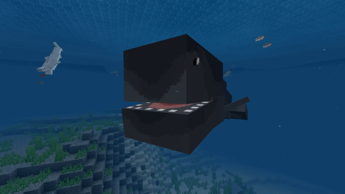Addon Orca / Killer Whale and Sperm Whale 1.13